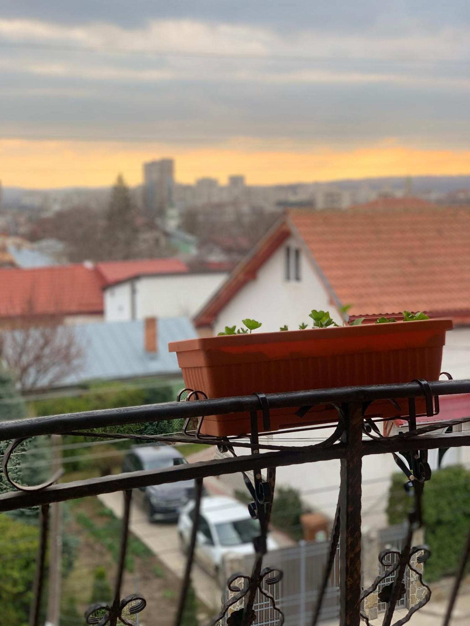 Casa Famous Apartment Iasi Ngoại thất bức ảnh